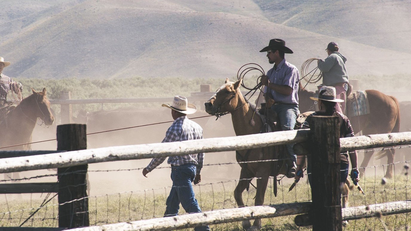 Cowboys on horseback working a dusty cattle herd with mountains behind them