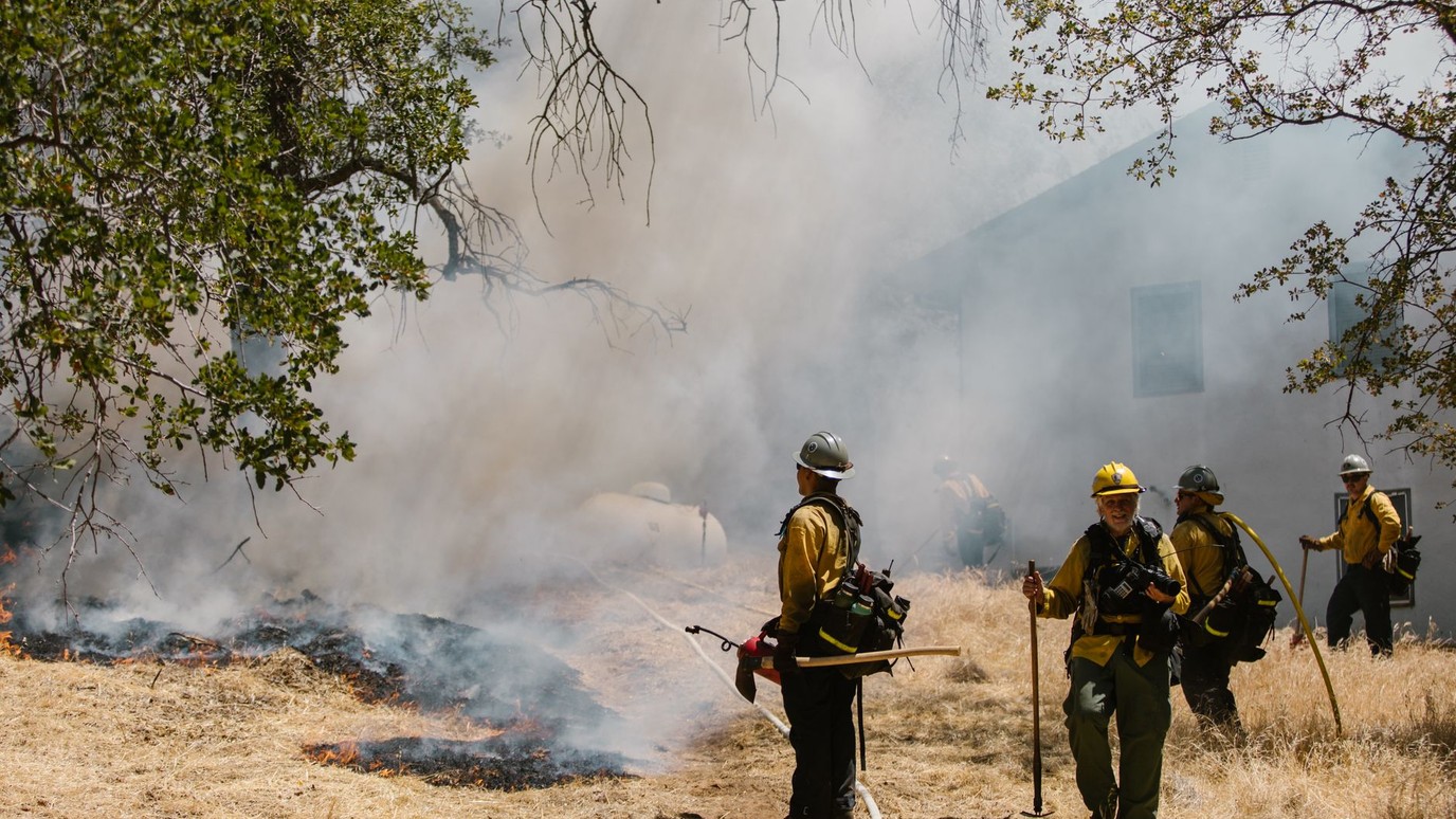 A wildland fire crew working a hose line in yellow fire shirts through smoke