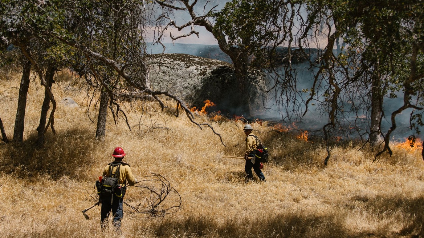 Wildland firefighters in full gear walking through dry grass toward a flame line under heavy smoke